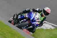 Lower Group Blue Bikes